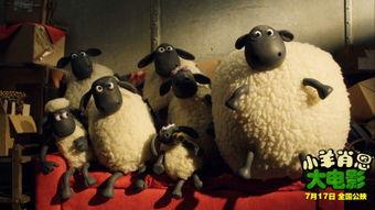 小羊爆料视频最新消息,最新视频揭露惊人内幕  第1张